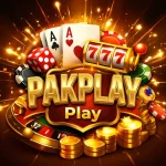 PAKPLAY Game